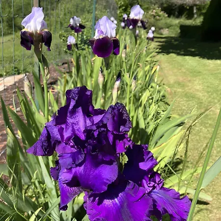 Le Chene Salignac Eyvigues